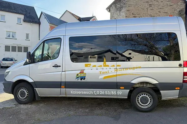 Nahaufnahme mehrerer Pusteblumen in rötlich-dunkelblauen Licht