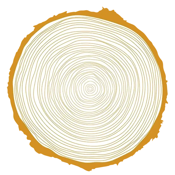 Strichzeichnung einer Holzscheibe mit Jahresringen